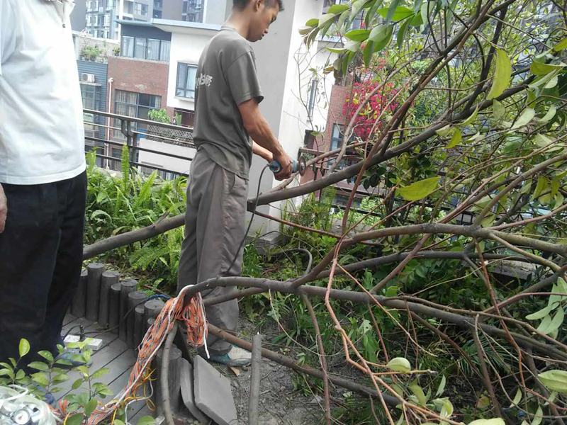 屋頂花園怎么裝修，樓頂花園裝修注意事